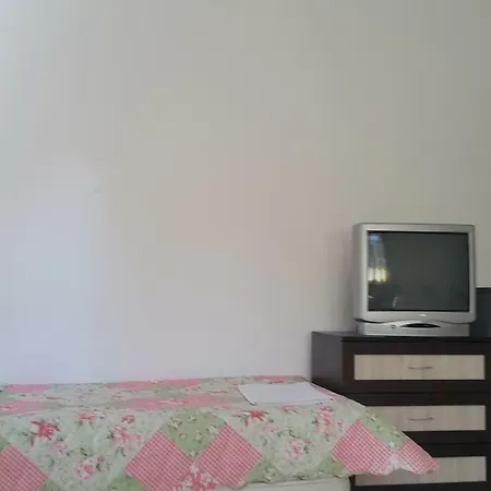 게스트하우스 на гости при силвия 오브조르