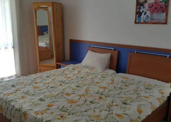 на гости при силвия 3*